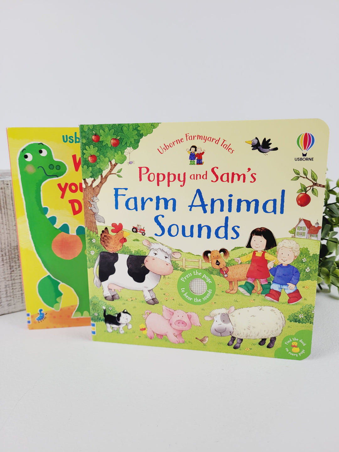 Books With Bree, Usborne Sound Books