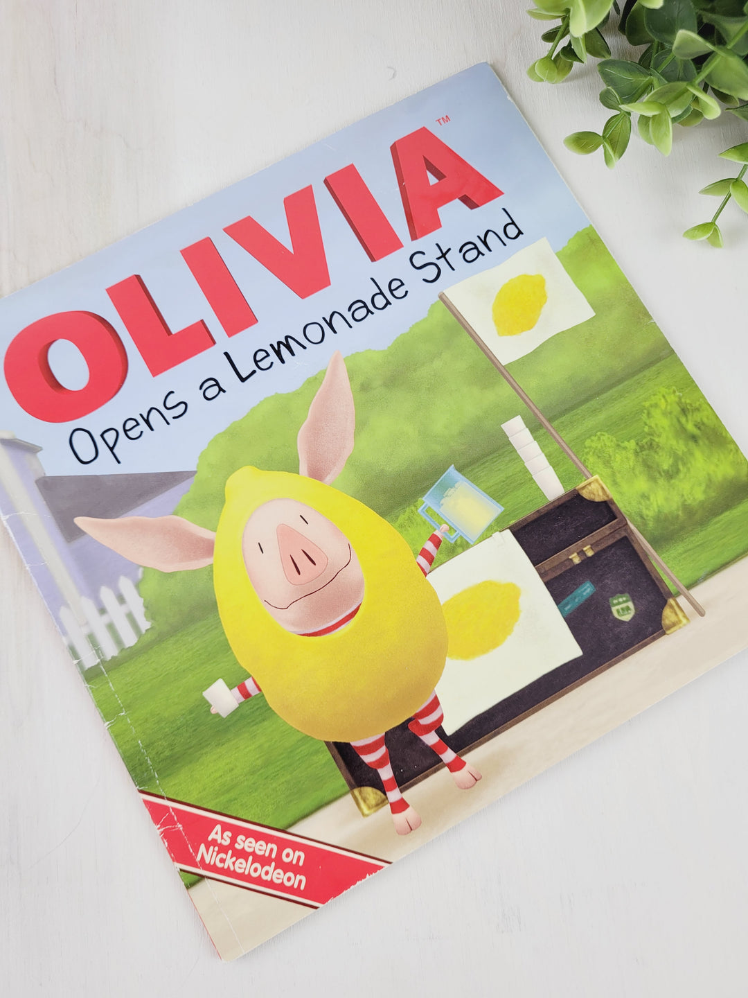 OLIVIA OPENS A LEMONADE STAND STORYBOOK PRE-LOVED