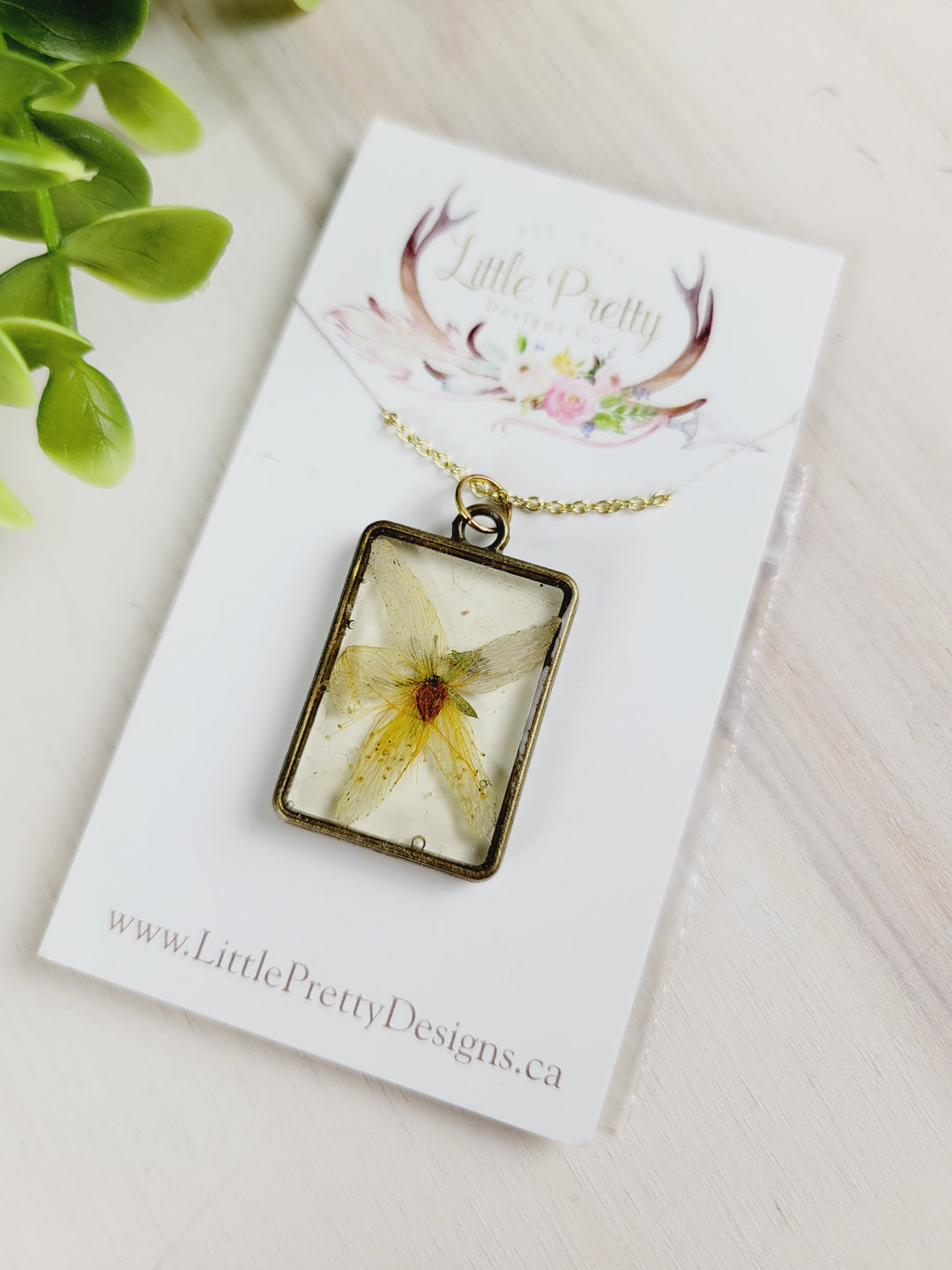 Little Pretty Designs, Pressed Flower Necklaces, Assorted Framed