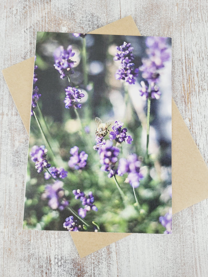 Little Red Barn, Photography Greeting Cards